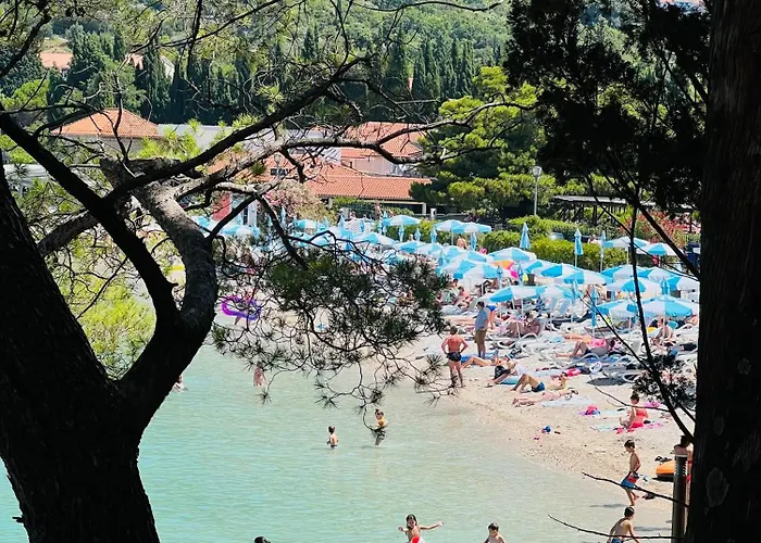 A&m Family - 3 Bedrooms And Free Parking