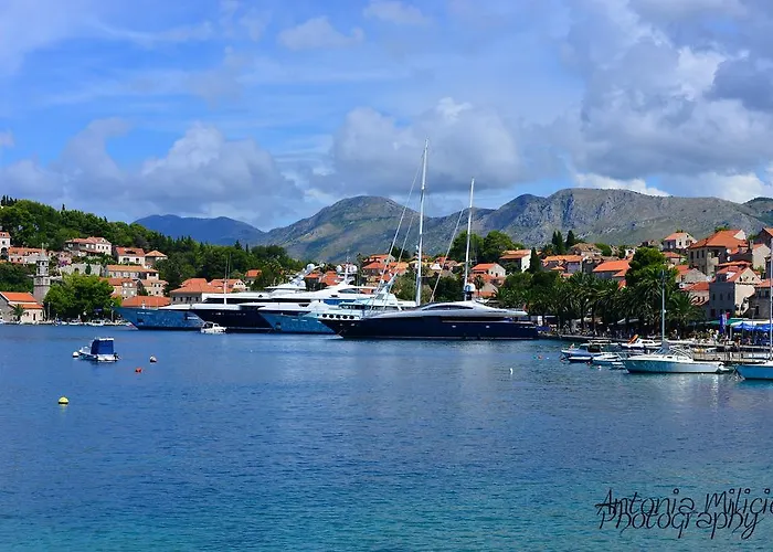 A&m Family - 3 Bedrooms And Free Parking Cavtat